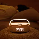 tn-237263551-3.webp
