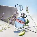 p2264_1.webp